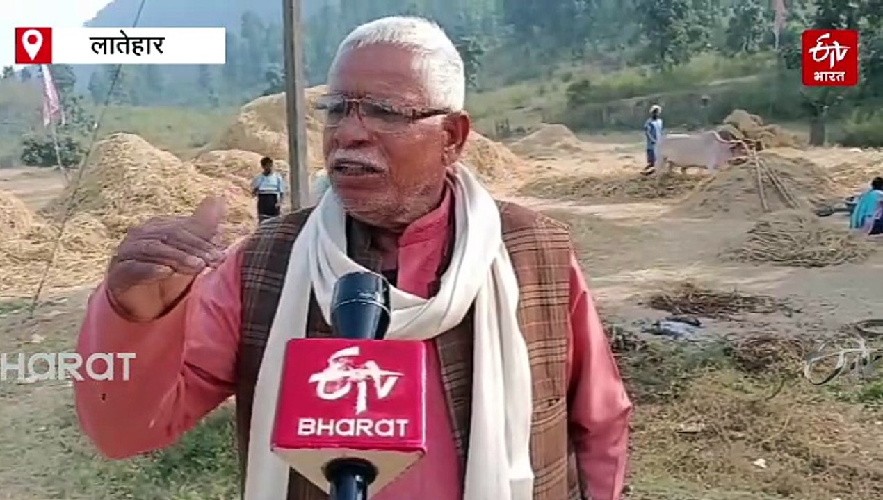 छत्तीसगढ़ के बाद झारखंड की पहचान बनेगा जीराफूल धान की खेती, GI टैग दिलाने की कोशिश