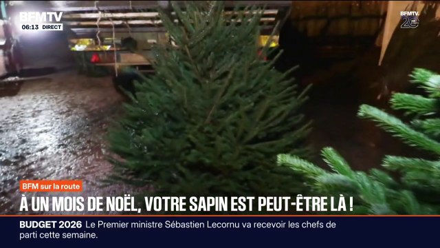 Après 13 ans à Beauval, les deux pandas géants regagnent la Chine