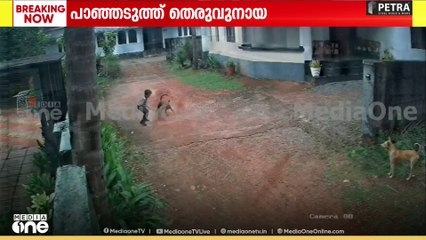 മലപ്പുറത്ത് വിദ്യാർഥിക്ക് നേരെ പാഞ്ഞടുത്ത് തെരുവുനായ; സിസിടിവി ദൃശ്യങ്ങൾ പുറത്ത്