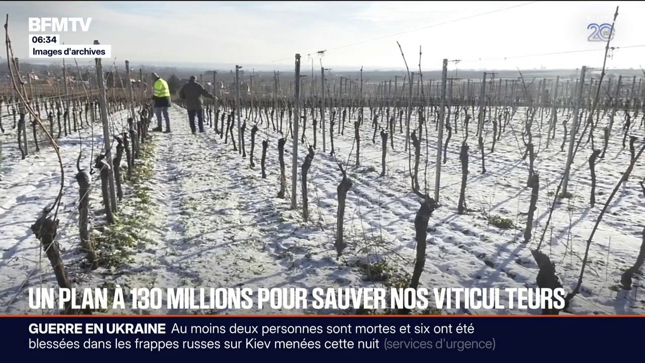 Aléas climatiques: un plan à 130 millions d'euros annoncé pour venir en aide aux viticulteurs