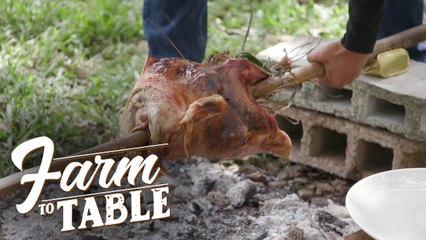 Chef JR Royol cooks ‘Lechong Pabo’ for Thanksgiving! | Farm to Table