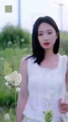 Chasing The Green Butterfly Full