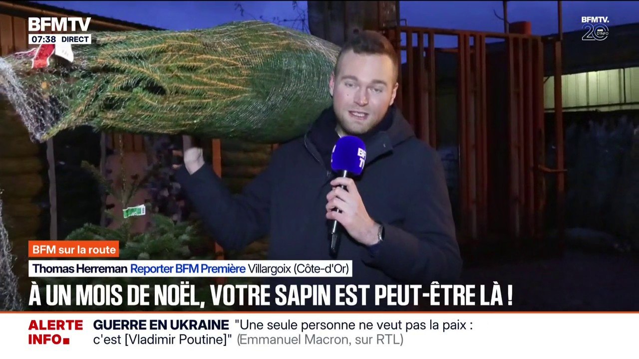 Comment choisir son sapin de Noël?