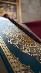 This HD and 4K stock footage