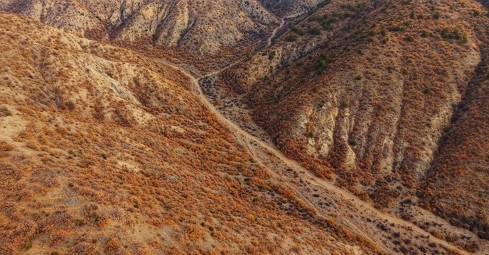 Doğa ayrı bir güzelliğe kavuştu: Ilgaz Dağları'nda sonbahar büyüsü