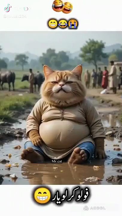 Cute  cat cartoon funny 😁🤣😁🤣😁🤣
