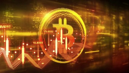 Crypto Wallet Explained: How to Store Your Digital Assets Safely