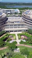 Ms. Doctor and Her Hidden Billionaire Husband - Full Movie HD