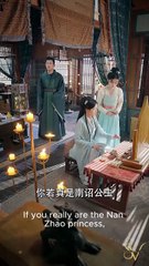 The Grand Princess Strikes Back - CHINESE DRAMA