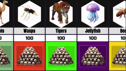 Animals That Kill the Most Humans Per Year | Deadliest Animals