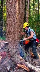 Wow 😲 amazing wood cutting machine 😲😲👍