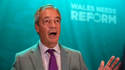 Nigel Farage denies schoolboy racism claims