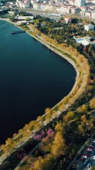 This HD and 4K stock footage videos