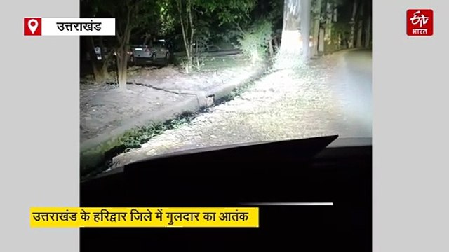 हरिद्वार के रिहायशी इलाके में दिखा गुलदार, लोगों में दहश्त, वन विभाग ने अलर्ट रहने को कहा