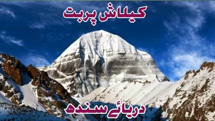 jewel of indus blind dolphin