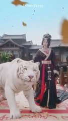 The Abandoned Heiress's Reverse Harem( Full Episodes ) Eng sub