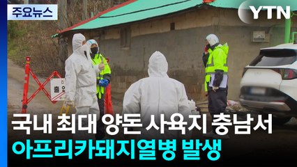 국내 최대 양돈 사육지 충남서 아프리카돼지열병 발생 / YTN