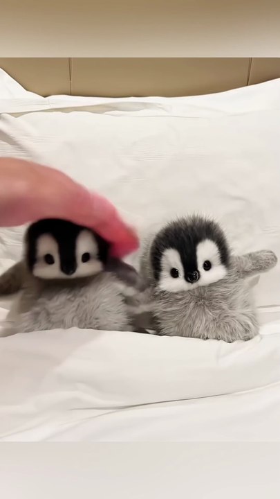 Penguin