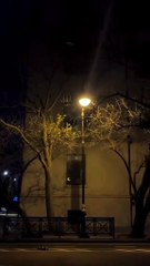 "Quran Ki Roohaniyat: Zindagi Ko Behtar Banayein"