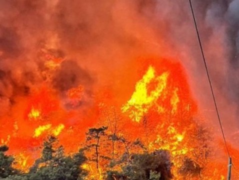 Feuer bedroht 50 Millionen Jahre altes UNESCO-Weltkulturerbe