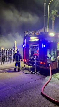 Image from field_mediaid