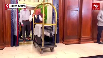 WATCH | US Presidential Turkeys Enjoy Luxury Stay Ahead Of Annual Pardon