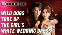 WIld Dogs Tore Up THe Girl's White Wedding