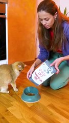 😹 Can you handle your furry friend being the boss? Drop a ❤️ if yes!