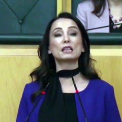 DEM Parti'den İmralı ziyareti hakkında açıklama