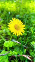 Bolu'nun Gizli Cenneti: Huzur Veren Doğa ve Göl Manzarası