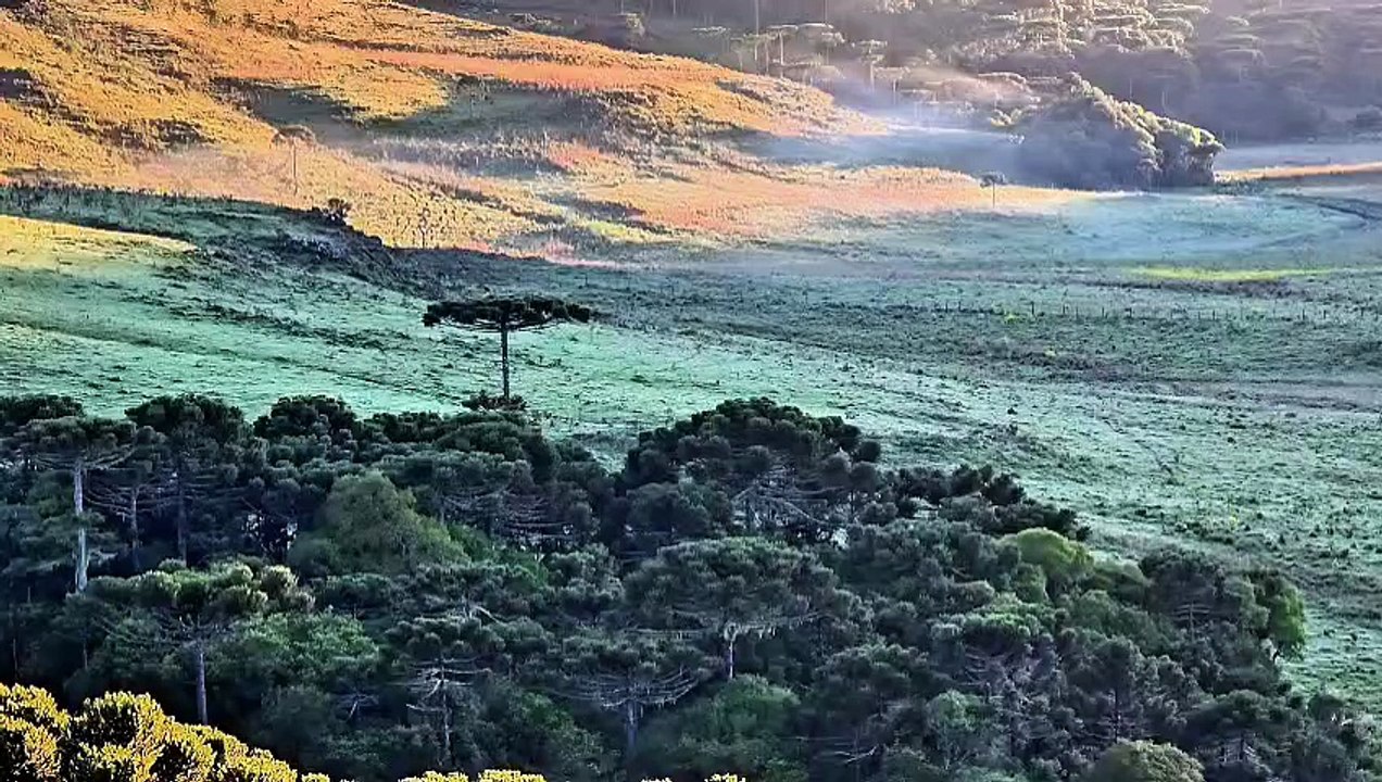 Campo amanhece branco com geada em pleno novembro