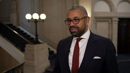 Cleverly: Criticise Farage over policy, not alleged comments