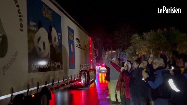 Beauval : les adieux au couple de pandas avant leur départ vers la Chine