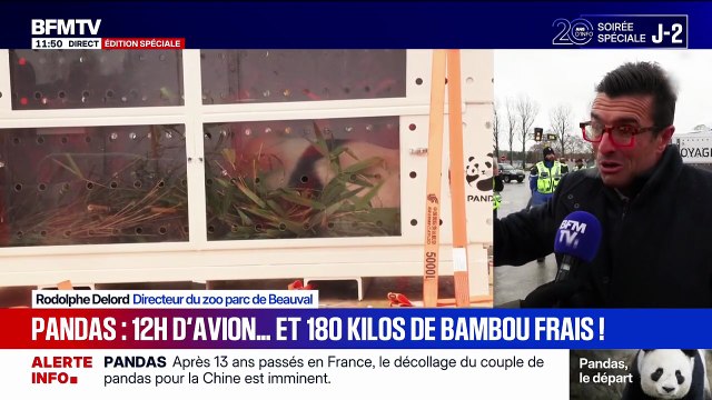 Départ de pandas du zoo de Beauval vers la Chine: Une page se tourne , explique le directeur du zoo