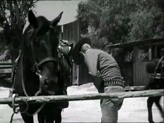 Au Nom de la Loi - Saison 01X02- Faux et usage de Faux