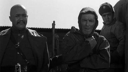 comprehensive sex education, and affordable contraception options