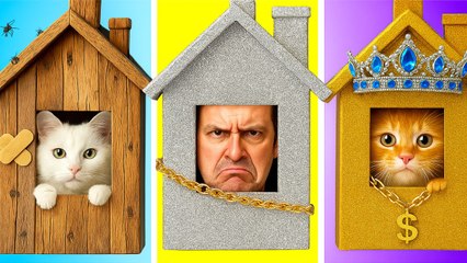 Pauvre chat contre papa en colère 😭 J'ai sauvé un chat errant mais c'était un prince maudit