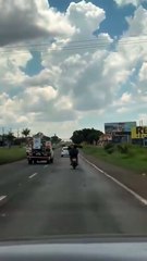Cabrito é flagrado "pegando carona" em garupa de moto na BR-376