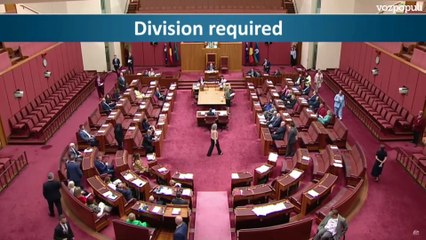 Una senadora de ultraderecha en Australia se presenta con burka en el pleno en señal de protesta