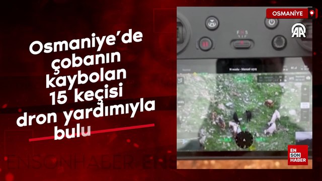 Osmaniye’de çobanın kaybolan 15 keçisi dronla bulundu