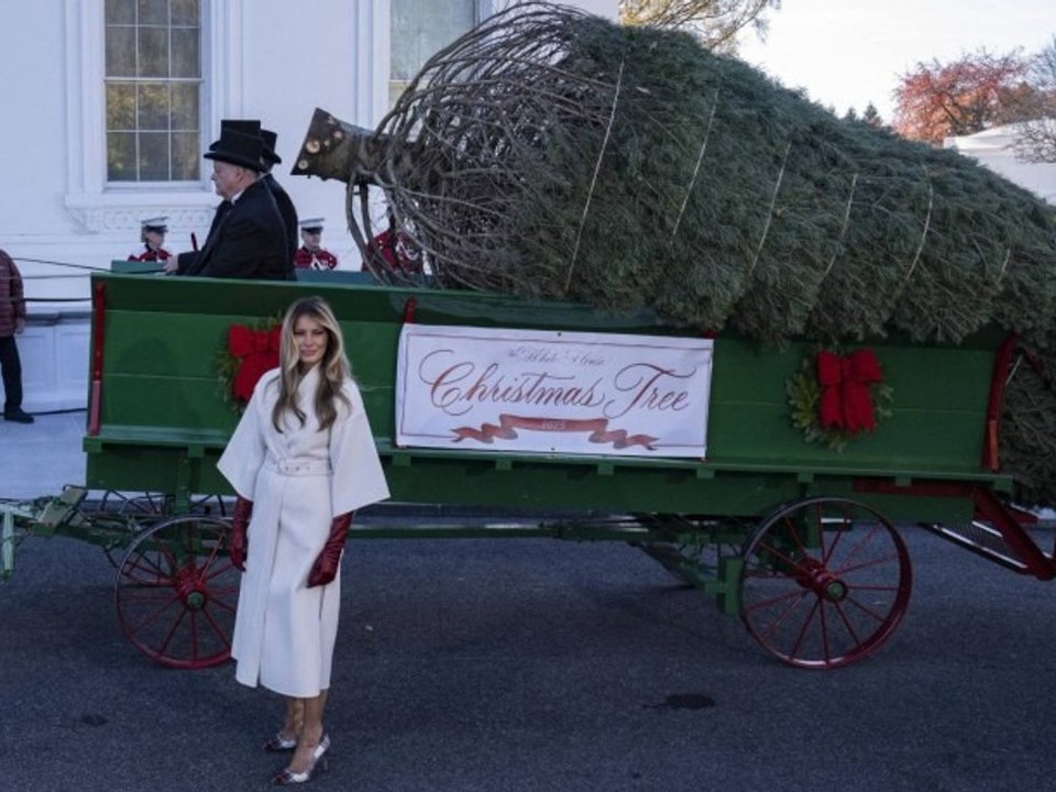 Sehr motiviert: Melania Trump empfängt Weihnachtsbaum fürs Weiße Haus