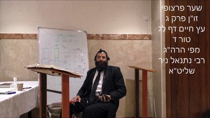 שער פרצופי זו"ן פרק ג לג טד
