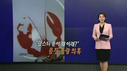 "접시 그림이 없어져요"...써브웨이 랍스터 접시 '품질 논란' [앵커리포트] / YTN
