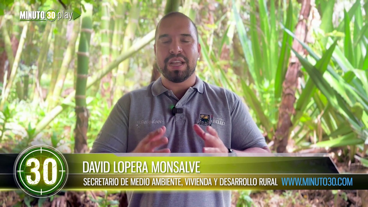 Zarigüeyas, búhos y gavilanes vuelven a volar: liberaron 68 animales silvestres en Bello