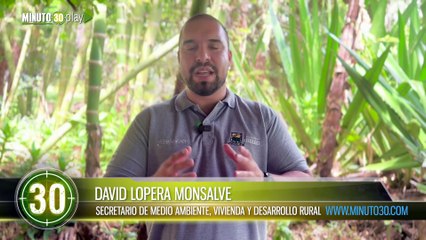 Zarigüeyas, búhos y gavilanes vuelven a volar: liberaron 68 animales silvestres en Bello