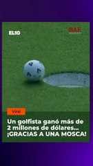 ¡Mosca millonaria! Golfista gana 2 millones gracias a un curioso “ayudante” (VIDEO)