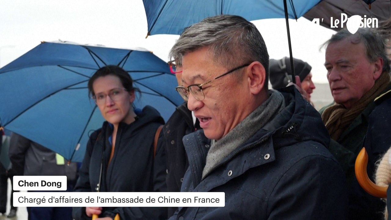 L’ambassade de Chine à Paris promet « de nouveaux pandas géants » pour la France