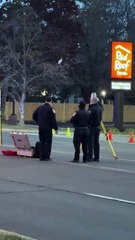 Man hit and killed while crossing Little Mack Ave. in Roseville