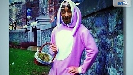 Miley Cyrus and Celebs React To 420