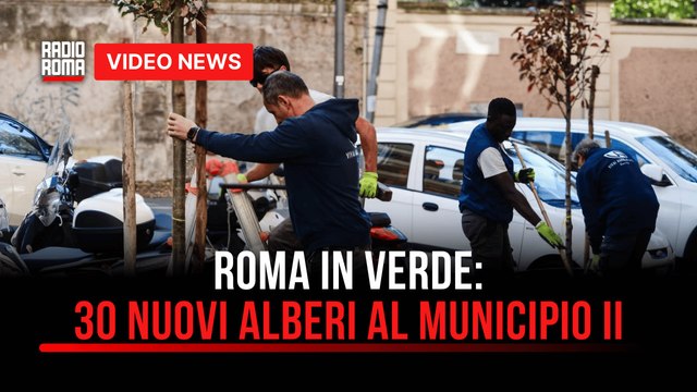 Roma in verde, 30 nuovi alberi al Municipio II: Al via “la cultura della cura”